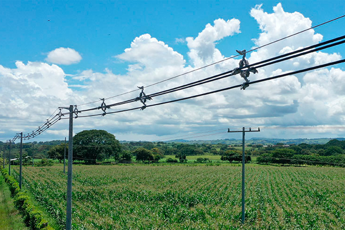 Red de distribución eléctrica